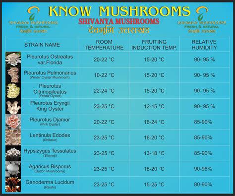 The reason mushrooms start to form is still not fully understood and is quite a bit different from species to species. . Shroomery fruiting temperature